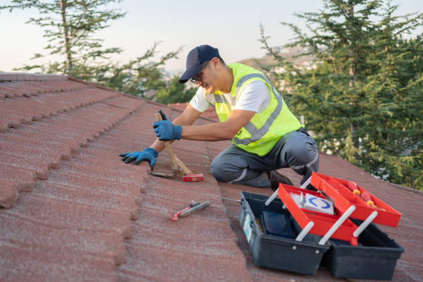 Quick and Trustworthy Emergency Roof Repair Services in Williamston, SC